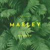 About Marley Song