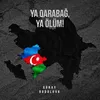 About Ya Qarabağ, Ya Ölüm Song