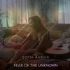 About Fear Of The Unknown Song