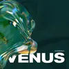 About Venus Song