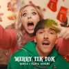 About Merry Tik Tok Song