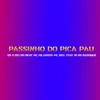 About Passinho do Pica Pau Song