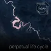 Perpetual Life Cycle Edited