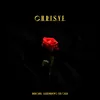 About Chrisye Song