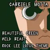 About Beautiful Green Wild Beast / Rock Lee Lotus Theme From "Naruto" Song