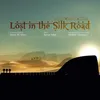 Lost in the Silk Road