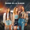 About Bird in a Cage Song