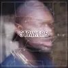 About Strikers Song