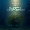 About Gloomy Bosphorus Song