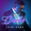 About Demi Kamu Song