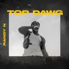 About Top Dawg Song