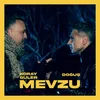 About Mevzu Song