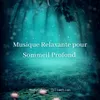 Musique relaxante pour se reposer