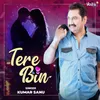 About Tere Bin Song