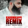 About Parayathe Parayunna Remixed Version Song