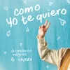 About Como Yo Te Quiero Song