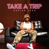 About Take a Trip Song