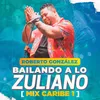 About Mix Caribe, Vol. 1: No La Voy a Dejar / La Quiero Ver / Las Cachaperas / Chere a Mapi Bailando a Lo Zuliano Song