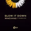 About Slow It Down Song