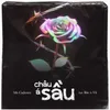 About Châu Á Sầu Song