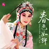 跃鲤记 芦林 - 降黄龙 庞三娘唱段