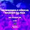 About Vai Descendo o Xerec4o, Roçando na Peça Song