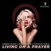 About Living on a Prayer Radio Edit Song