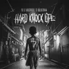 About Hard Knock Life Song