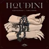 About Houdini Song