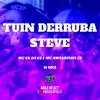 About Tuin Derruba Steve Song