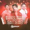 About Barquinho / Gaiteiro Song