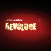 Revoluce