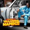 About Yalaaniwe Mapenzi Song