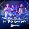 About Pode Pegar Que Já Peguei / Me Bate, Nega Veia Song