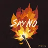 About Say No Song