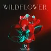 About Wildflower Song