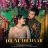 About Dil Nu Dildaar Song