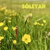 About Sóleyan Lýsir Um Fløtur Faroese Version Song