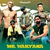About Mr. Haryana Song