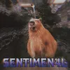 About SENTIMENT4L Song