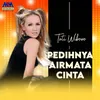 Pedihnya Airmata Cinta