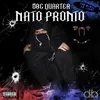 About Nato Pronto Song