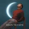 About Aşkın Mevsimi Song