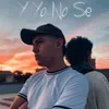 About Y Yo No Sé Song