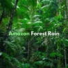 Amazon Forest Rain