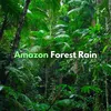 Rain in the Amazon