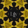 About Lilly Song