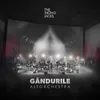 About Gândurile Altorchestra Live Song