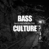 About Bass Culture Song