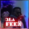 About 3la Feen Song